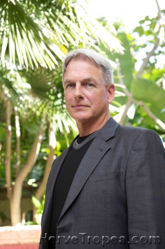 Mark-Harmon1LR